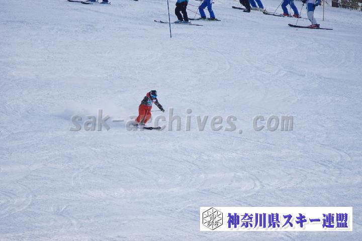 20170128_142954_0.jpg
