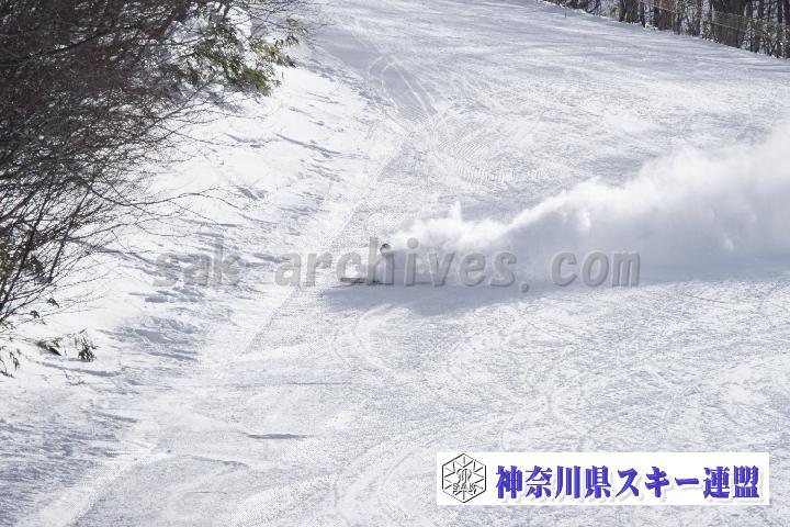 20170129_121657_2.jpg