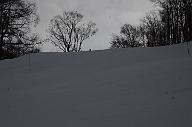 20190126_084620_0