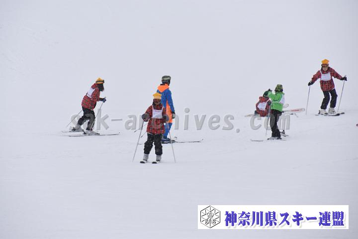 190216_123333_0.jpg
