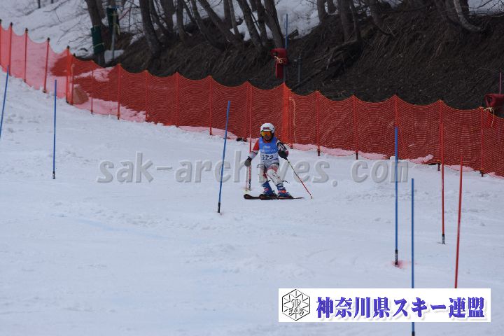 190317_141809_2.jpg