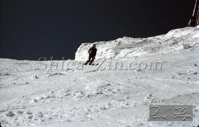 S0000082154.jpg