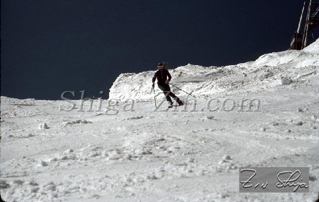 S0000082157.jpg