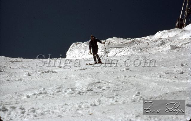 S0000082159.jpg