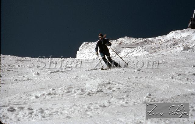 S0000082166.jpg