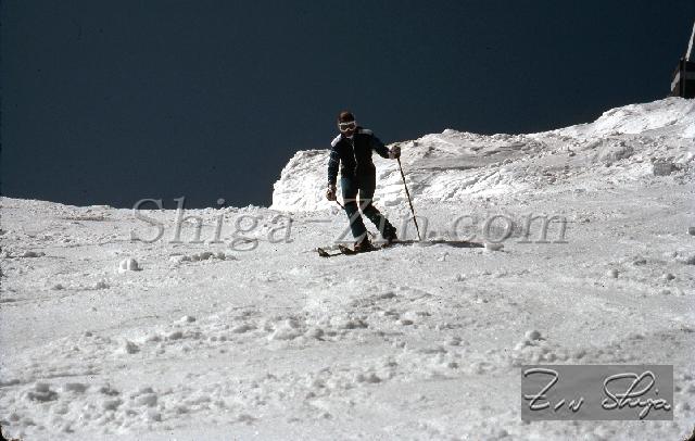 S0000082167.jpg