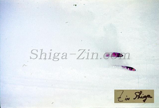 c0000192079.jpg