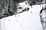 c0000366156