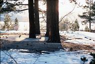 c0000405130
