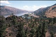 c0000423191