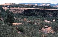 c0000425178