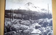 c0000439113