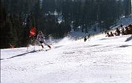 c0000451102