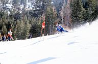 c0000455126
