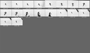 b0011202