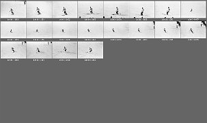 b0011302