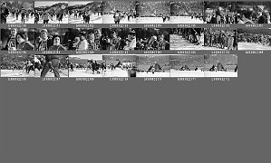 b0062202
