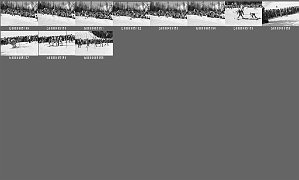 b0048502