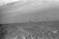 b0000172039