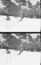 b0000177054