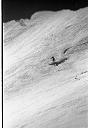 b0000244146