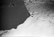 b0000244156