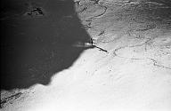 b0000244157