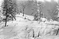b0000252134