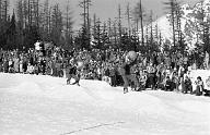 b0000485154