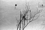 b0000558309