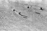 b0000558313