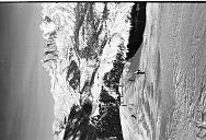 b0000614135