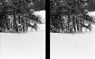 b0000633164