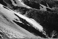 b0000766204