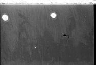 b0000785145