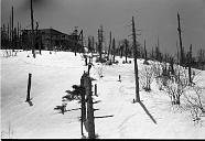 b0000804131