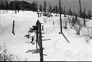 b0000804132