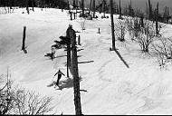 b0000804133