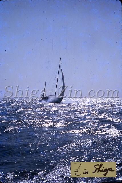 s0000017015.jpg