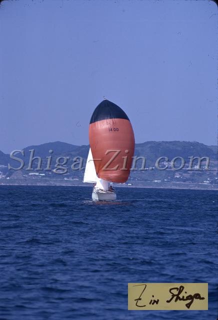 s0000019013.jpg