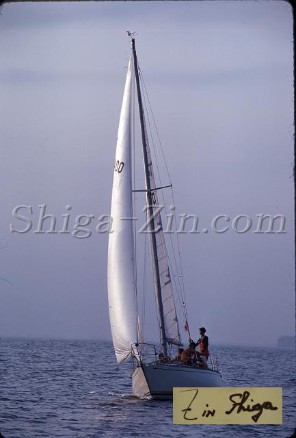 s0000019014.jpg