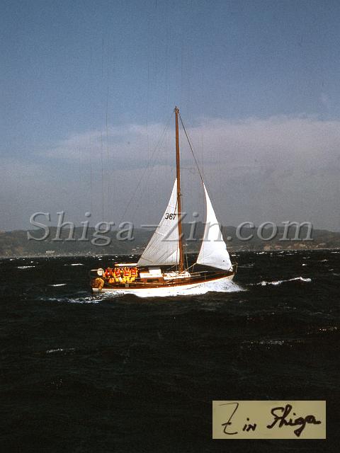 s0000019035.jpg