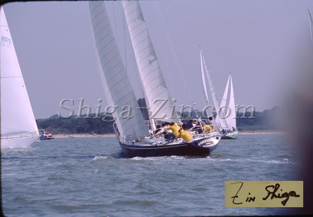 s0000028003.jpg
