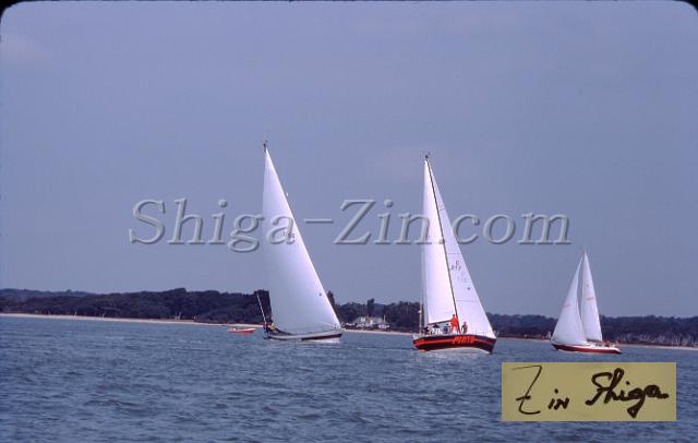 s0000031020.jpg