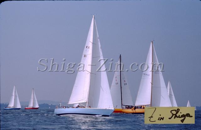 s0000031024.jpg