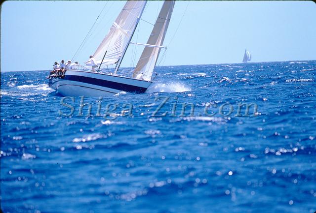 s0000043018.jpg