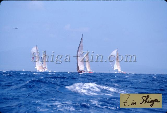 s0000048116.jpg