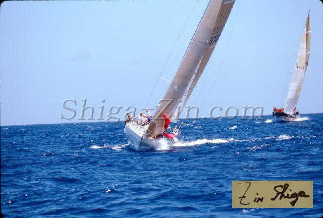 s0000052101.jpg