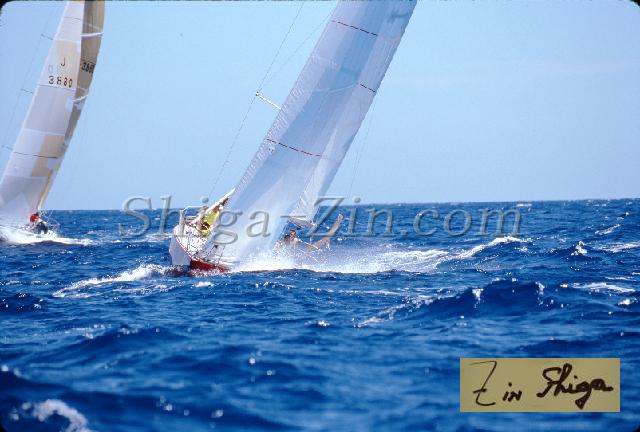 s0000052107.jpg