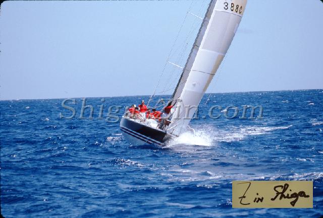 s0000052109.jpg